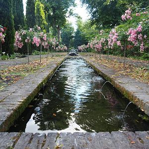 Andalusian garden, 2022-06-28