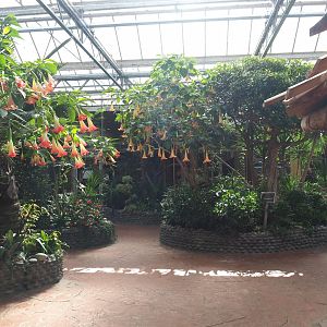 Oasis - Walkway and viewing areas near the tamarin and agouti exhibits, 2022-06-28