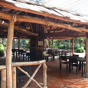 Eating area in the Oasis, 2022-06-28