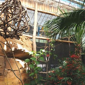 Blue-and-gold macaw holding aviary, 2022-06-28