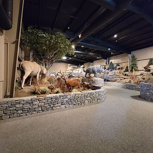 Action Wildlife - Inside entrance of building