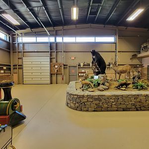 Action Wildlife - Side room