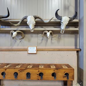 Action Wildlife - Side room