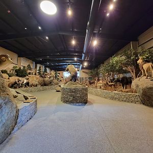 Action Wildlife - View of main hall from side room
