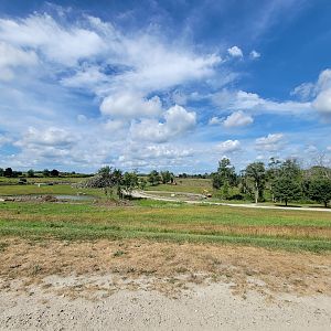 Action Wildlife - View of drivable area (all animals are in pens)