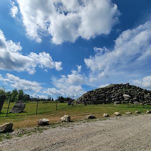 Action Wildlife - Domestic goats