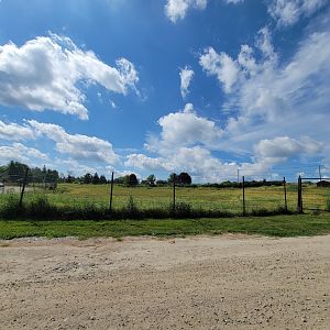 Action Wildlife - Empty yard