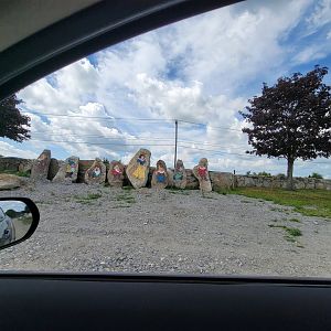 Action Wildlife - ... Snow white and the dwarves?