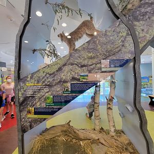 Ecotarium - Destination: Mount Washington