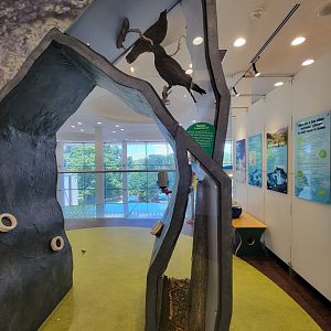 Ecotarium - Destination: Mount Washington