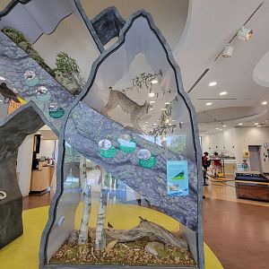 Ecotarium - Destination: Mount Washington