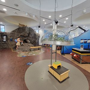 Ecotarium - Destination: Mount Washington