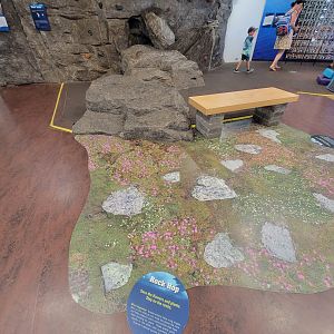 Ecotarium - Destination: Mount Washington