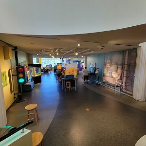 Ecotarium - First view of middle floor