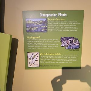 Ecotarium - Disappearing plants