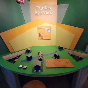 Ecotarium - Turtle's Eye View