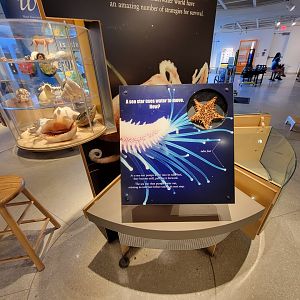 Ecotarium - Water Planet