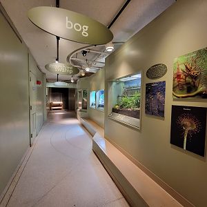 Ecotarium - Freshwater