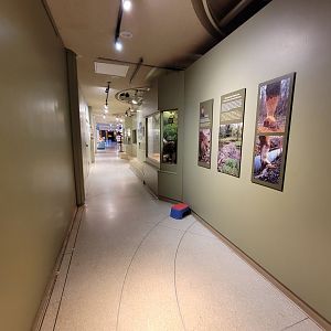 Ecotarium - Freshwater