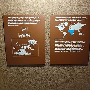 Ecotarium - African Communities: explanation