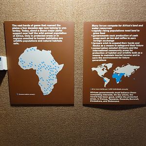 Ecotarium - African Communities: explanation