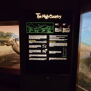Ecotarium - African Communities: Signage example (The High Country - Red hartebeest, klipspringer)