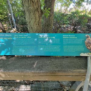 Ecotarium - Golden eagle signage
