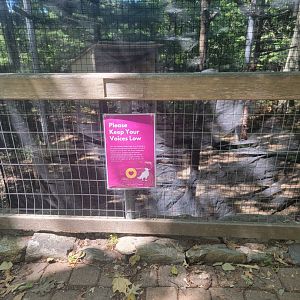 Ecotarium - Keep voices low because of new golden eagle