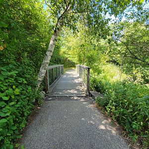 Ecotarium - Footbridge