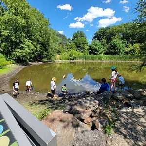 Ecotarium - Kids learning in the pond