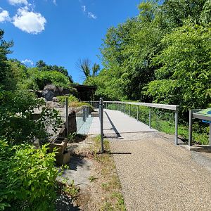 Ecotarium - Path to otters
