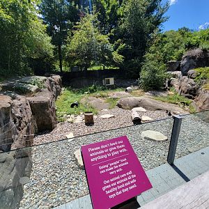 Ecotarium - North American river otter land area