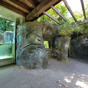 Ecotarium - North American river otter den viewing