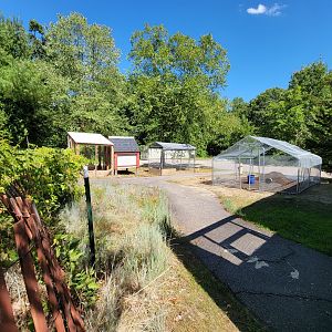 Ecotarium - Animal holding areas
