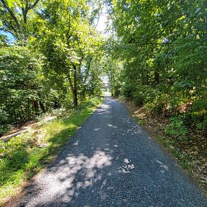 Ecotarium - Path to wild cat station