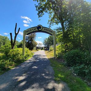 Ecotarium - Wild cat station entrance