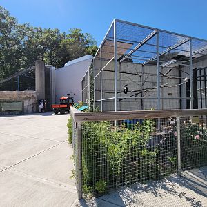 Ecotarium - Wild Cat Station