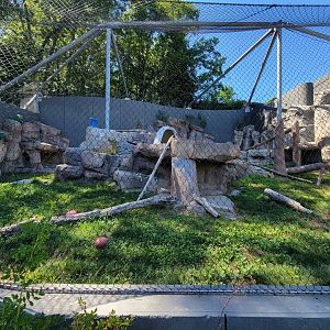 Ecotarium - Wild Cat Station