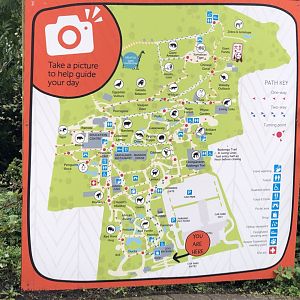 Zoo Map at Edinburgh Zoo (2020)