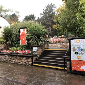 Immediate View Upon Entry at Edinburgh Zoo (2020)