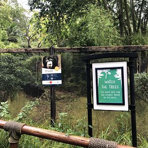 White-faced Saki Enclosure at Edinburgh Zoo (2020)
