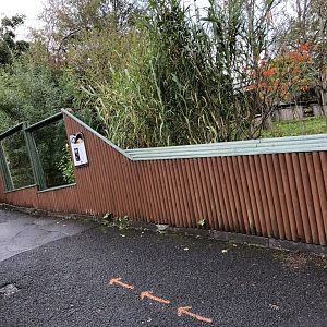 Asian Small-clawed Otter Enclosure at Edinburgh Zoo (2020)