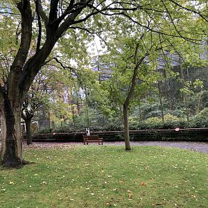 Buff-cheeked Gibbon Enclosure at Edinburgh Zoo (2020)