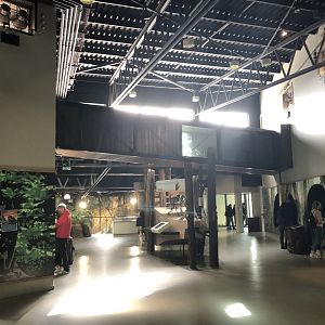 Chimpanzee House Interior at Edinburgh Zoo (2020)