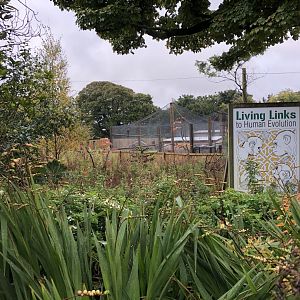 General View of Living Links at Edinburgh Zoo (2020)