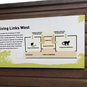 Living Links Monkey House Floor Plan at Edinburgh Zoo (2020)