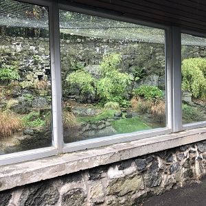 Old Penguin Enclosure at Edinburgh Zoo (2020)