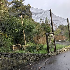 Snowy Owl Aviary at Edinburgh Zoo (2020)