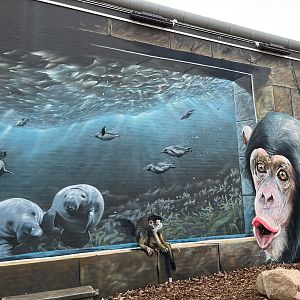 Zoo Entrance Mural