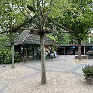 Red Panda Exhibit - overhead walkway